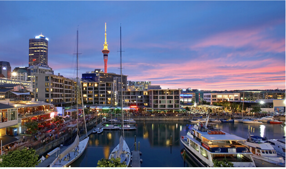 recovery visa new zealand