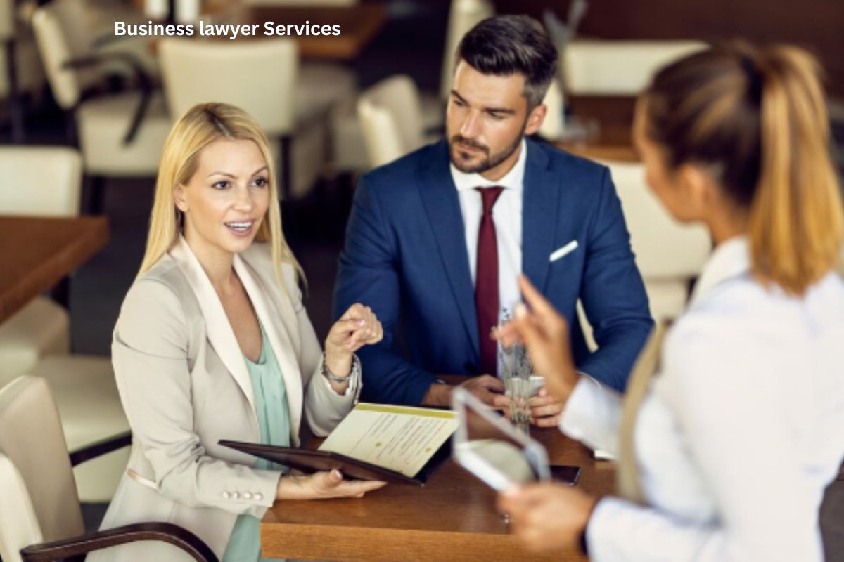 Business lawyer services