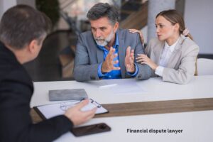 Financial dispute lawyer