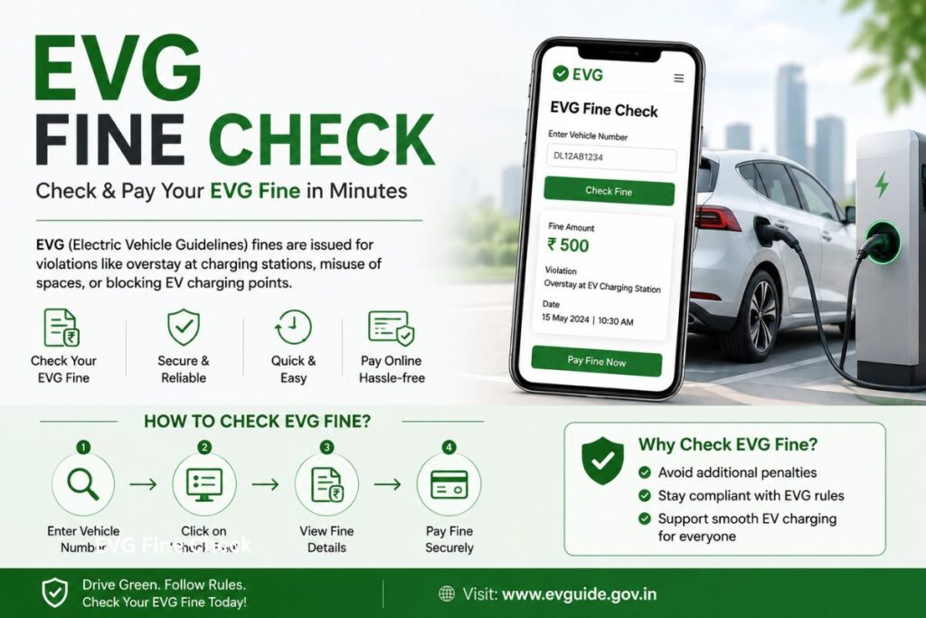 evg fine check