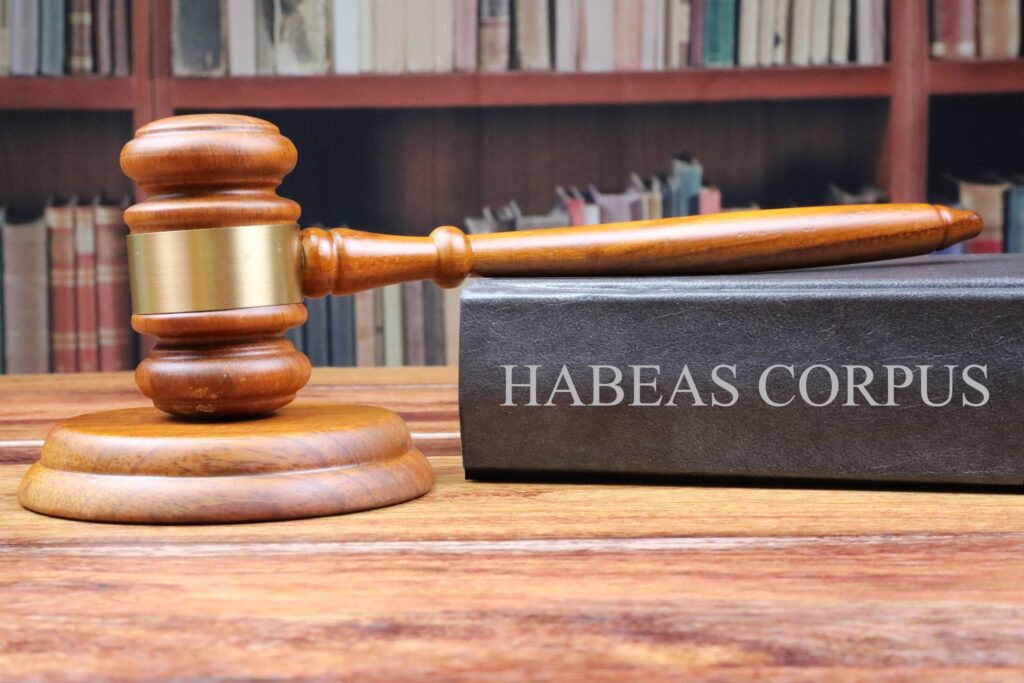 Habeas Corpus Lawyers 
