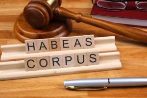 Habeas Corpus Lawyers
