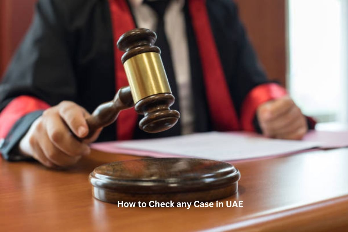how to check any case in uae